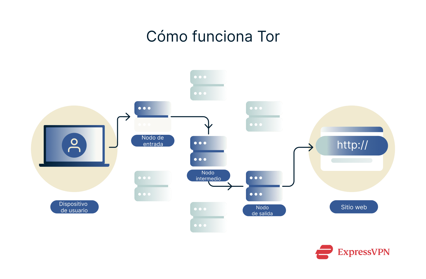 Un diagrama que muestra cómo funciona Tor.