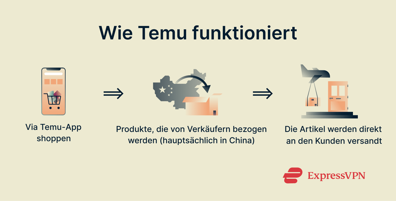 Infographic showing how Temu works