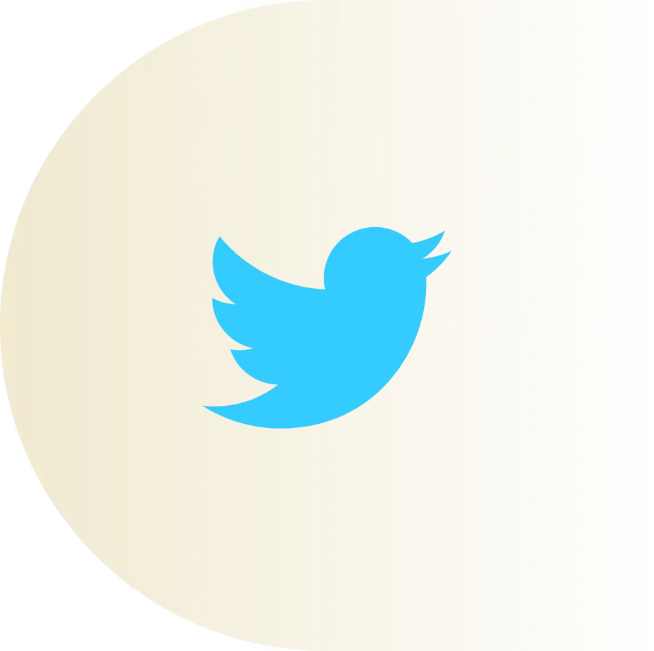 트위터 로고.